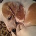 cindy craven (@cindycraven) Twitter profile photo cindy craven (@cindycraven) Twitter profile photo