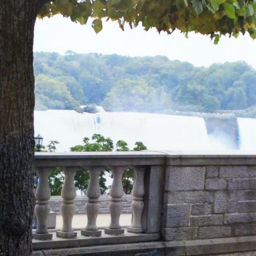 Dalkom793's profile picture. 