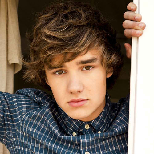 I love Liam James Payne! I am a directioner for life!! ONE DIRECTION ARE MY SPECIAL LADS!!(: i love you!!(: