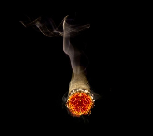 weedicans's profile picture. Get money, buy drugs. Talk about weed all day everyday. Keep that bitch lit.