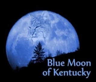 tstjohn14's profile picture. 