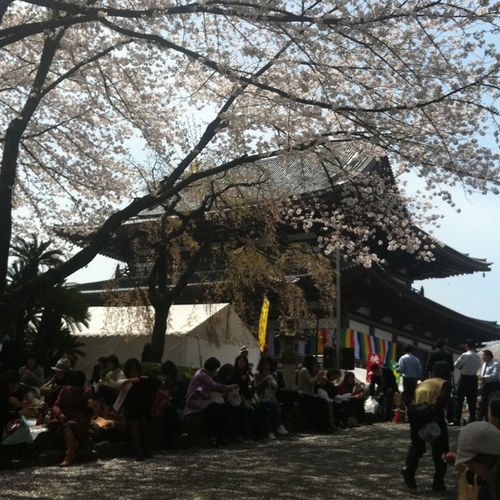 inte_DC2's profile picture. ここはじぶんの趣味をテーマにつぶやくスペースです。基本的にバイクなどの話を呟いて行こうかなと考えてます。自己満足的な考えで作ったアカウントなので、ご了承を。