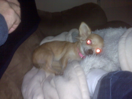 laceystar357's profile picture. 