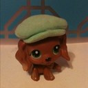 Genevieve - @GenevieveRyan99 - Twitter