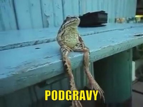 PodGravy's profile picture. Official Twitter for the PodGravy Podcast.
Because you have plenty of time ahead of you for your life to suck...