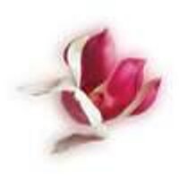 TL Clothing UK (@touchofluxuryuk) 's Twitter Profile