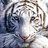 MyFastBook's profile image