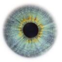 Peter Wiggins - @Martialis - Twitter