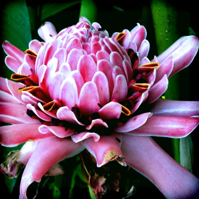 ykana1639's profile picture. フィギュアスケート、その他色々の個人的なメモ帳代わりに使ってます。