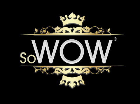 À travers des ingrédients finement choisis, So WOW Energy Drink vous procure une saveur unique associée à un apport d'énergie positive.