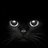 javiermurillo7's profile image