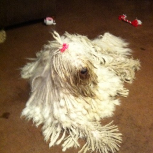 oubosworth's profile picture. 