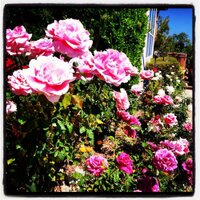 Casa De Las Vistas (@casadelasvistas) 's Twitter Profile