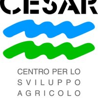 CESAR (@cesarumbria_) 's Twitter Profile