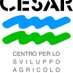 CESAR (@cesarumbria_) Twitter profile photo CESAR (@cesarumbria_) Twitter profile photo
