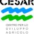 cesarumbria_'s profile image
