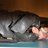 SusanLChilds's profile image