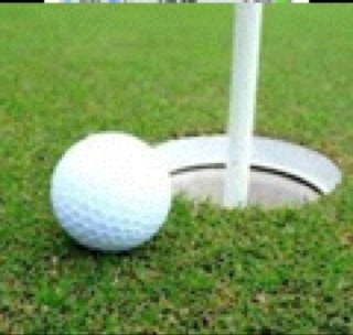 GolfMotto's profile picture. 