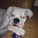 Peter Rimmer - @PeterRimmer - Twitter