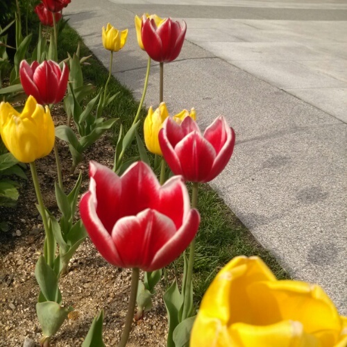 dalmagee's profile picture. 