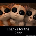 Shari Webster - @BadgeOfHonor1 - Twitter