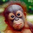 ray moseley - @raym2012 - Twitter