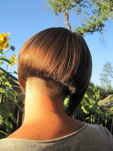 wertz41's profile picture. Sharing hair content #hairfetish #undercut #shorthair #bobhaircut I love short and long hair