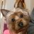 KarenMcFerran's profile image