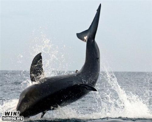 Faithw1n's profile picture. Sharing Info