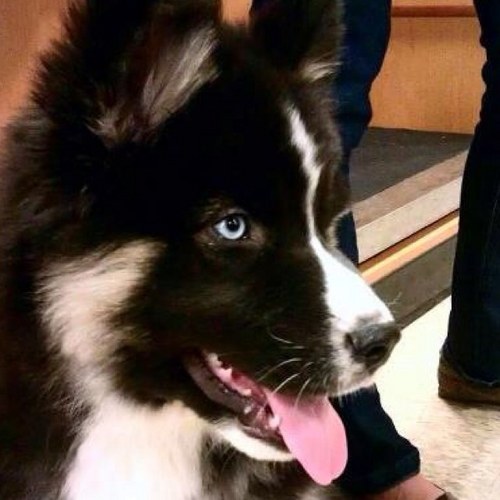 Vagabond_777's profile picture. 