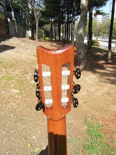 Guitar Luthier.