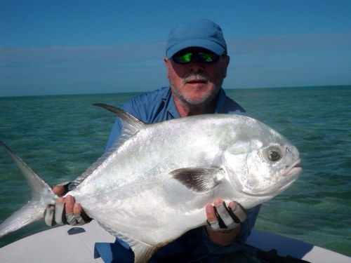 FuchsSepp's profile picture. 