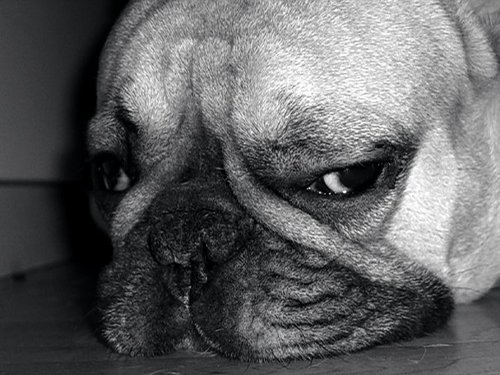 BITETHEHANDinc's profile picture. 