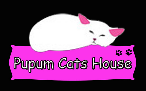 PupumCatsHouse's profile picture. Complete Profile :
http://t.co/765eRfeYl7
My Pages :
http://t.co/xLXK7Aug8p