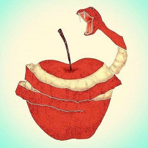 NastiaVVV's profile picture. VVV = vegan