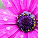 Noshaba Khan - @noshaba_khan - Twitter