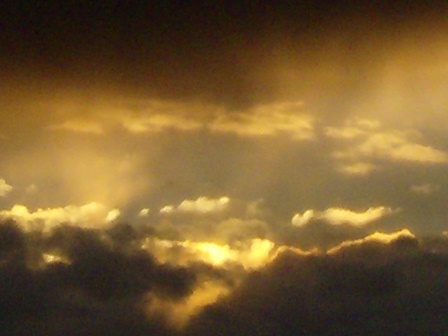 latebloomer8's profile picture. daily meditations