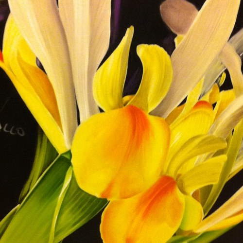 GiannaNinci's profile picture. 