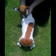 BonerPunch's profile picture. Can be inappropriate at times. Always question everything. My opinions and memes are my own unless I steal a meme from someone else.