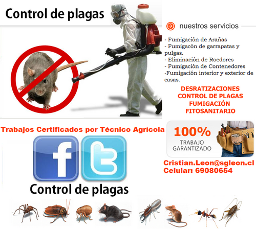 Desratizacion's profile picture. Control de Plagas. Fono 69080654