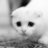 CirePBD's profile image