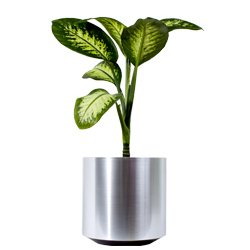 Specializing in Metallic planters as well color planters.
Sizes from 6 to 20