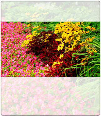 ConcreteAll's profile picture. Landscaping services in Grand Junction CO? i have you solution! call at this numer:
970-250-1431