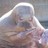 vcoralresenz's profile image