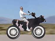 davepowell101's profile picture. I am a retired Pastor in Australia.