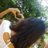larissa84200864's profile image