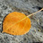 Truelightphoto's profile image