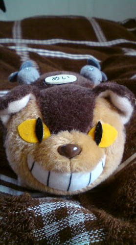 SWINGSWANGSWING's profile picture. つれづれなるままに日暮パソコンに向かひて、げにあぢきなきよしなしごとをそこはかとなく書きつくれ、人間の本分さもあらじ、いとあさましと思ひつれども、かのさが、いかがはせむ。