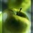 seusebiatrev's profile image