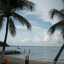 Debbie MacKenzie - @dm6523 - Twitter